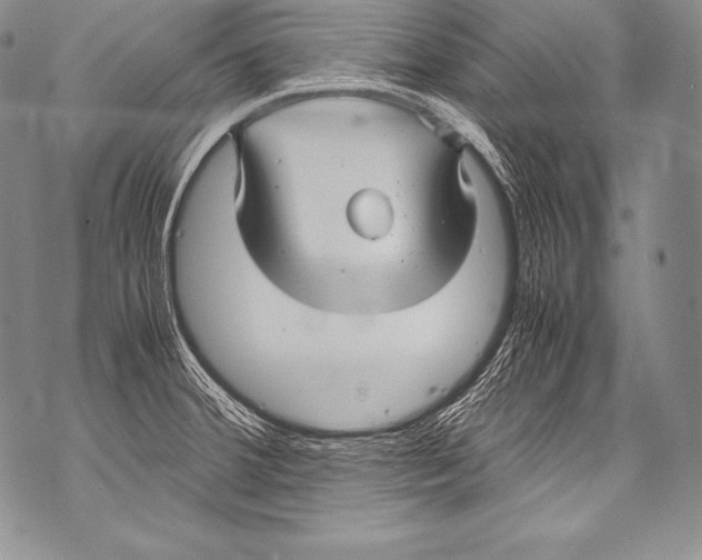 X0000071861380200607290146