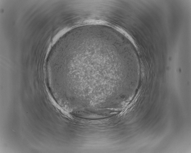 X0000071861381200607290146