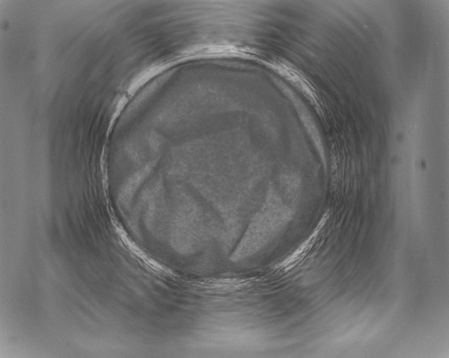 X0000071861382200607290146