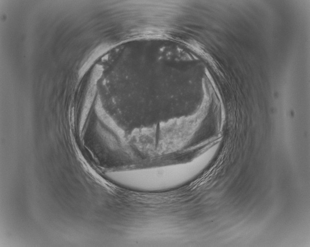 X0000071861383200607290146