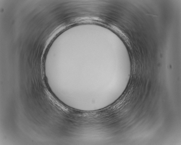 X0000071861384200607290146