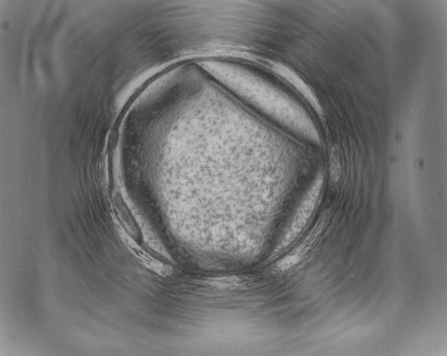 X0000071861388200607290146