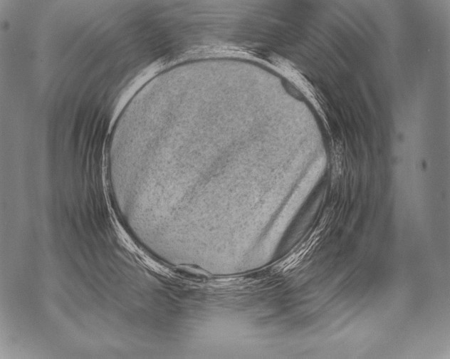 X0000071861390200607290146