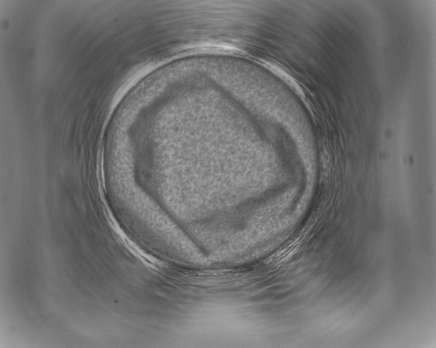 X0000071861391200607290146