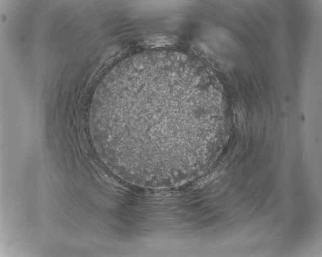 X0000071861393200607290145