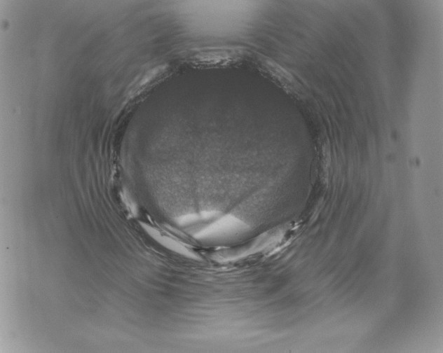 X0000071861394200607290145