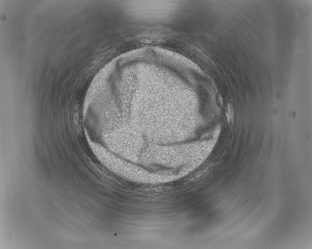 X0000071861396200607290146