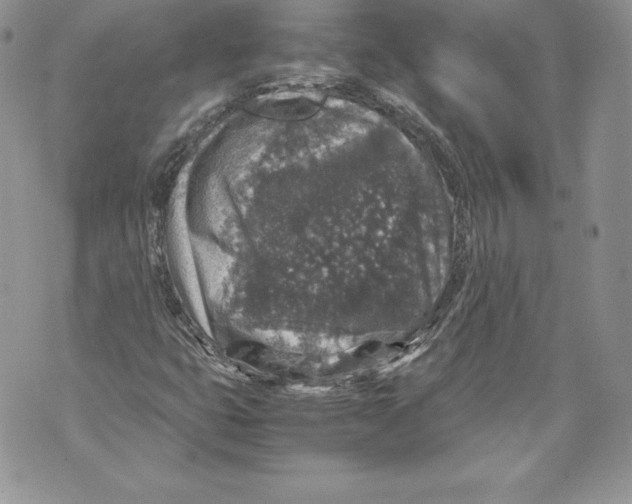 X0000071861399200607290146