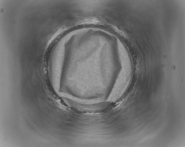 X0000071861400200607290146