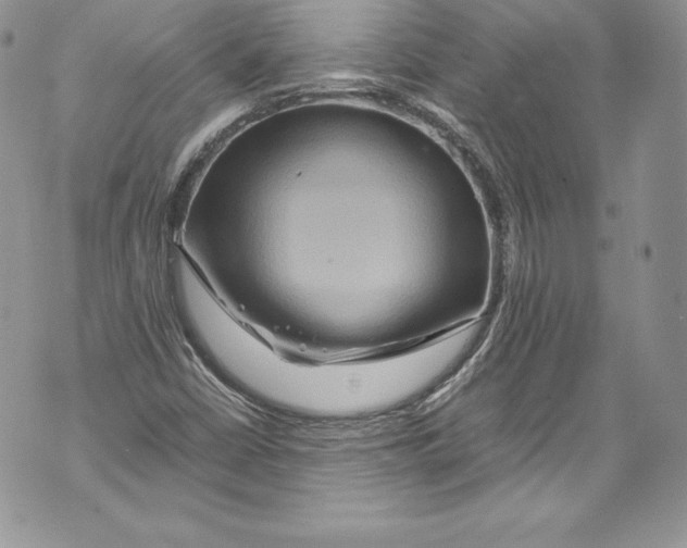 X0000071861402200607290146