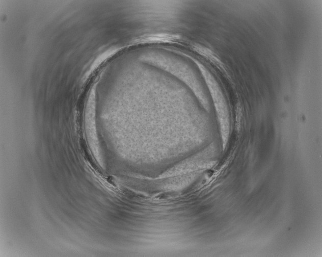 X0000071861404200607290146