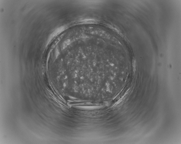 X0000071861405200607290146