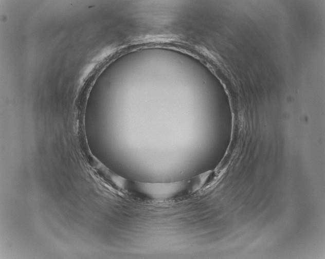 X0000071861406200607290146