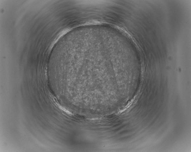 X0000071861409200607290146