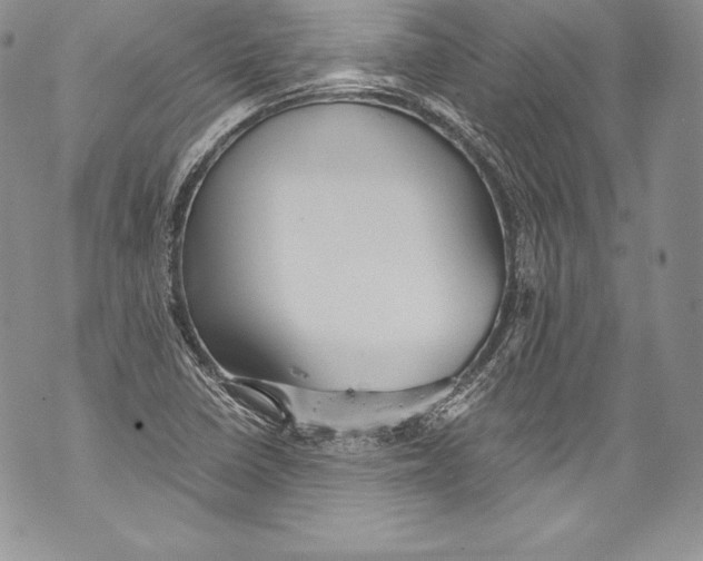 X0000071861410200607290146