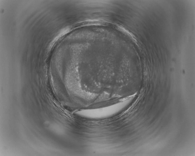 X0000071861411200607290146