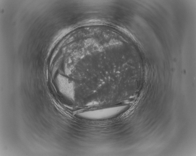 X0000071861413200607290146