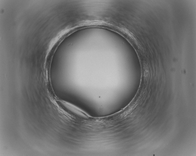 X0000071861414200607290146