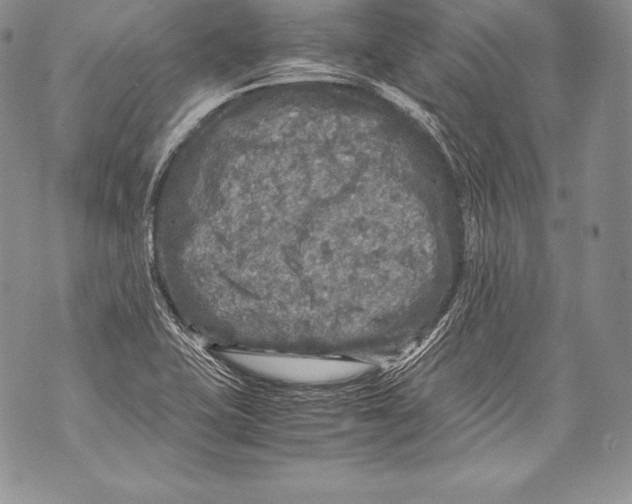 X0000071861415200607290146