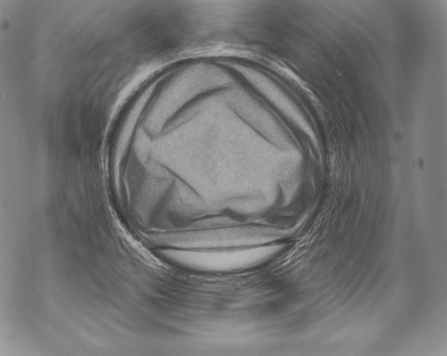 X0000071861416200607290146