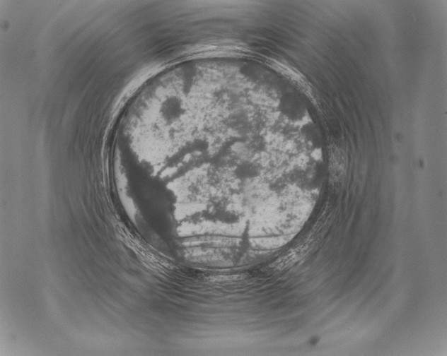 X0000071861419200607290146