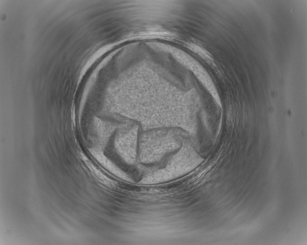 X0000071861420200607290146