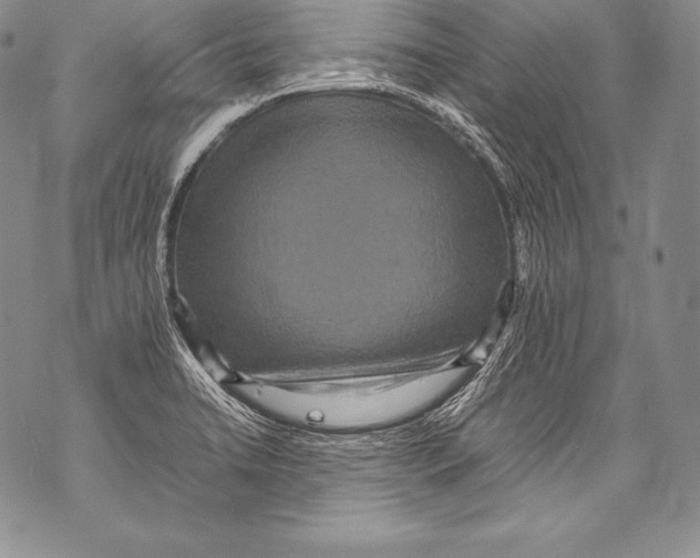 X0000071861422200607290146