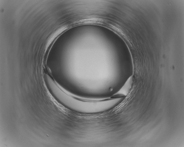 X0000071861426200607290146