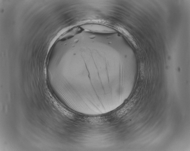 X0000071861428200607290146