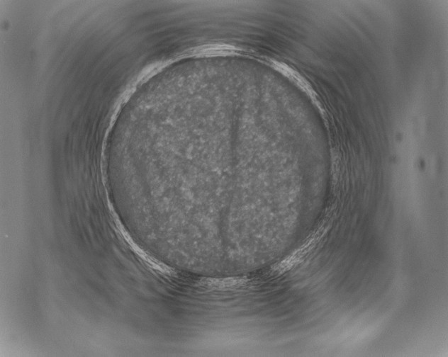 X0000071861429200607290146