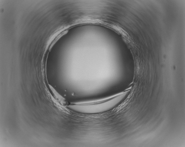 X0000071861430200607290146