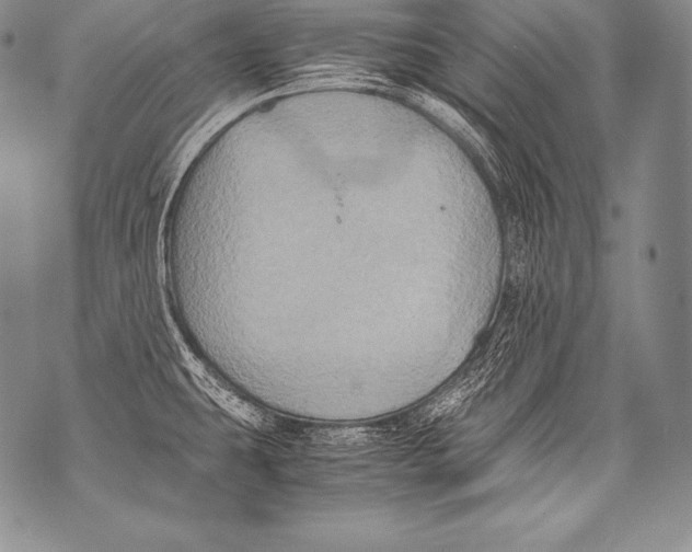 X0000071861431200607290146