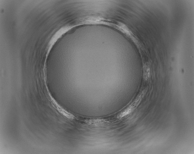 X0000071861432200607290146