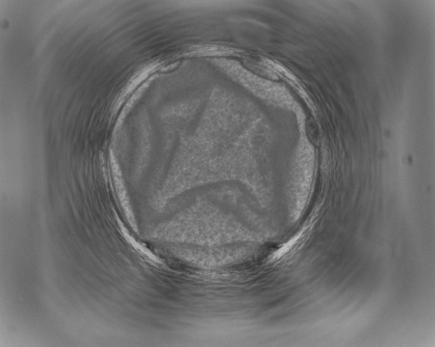 X0000071861433200607290146