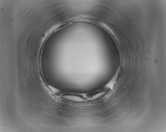 X0000071861434200607290146