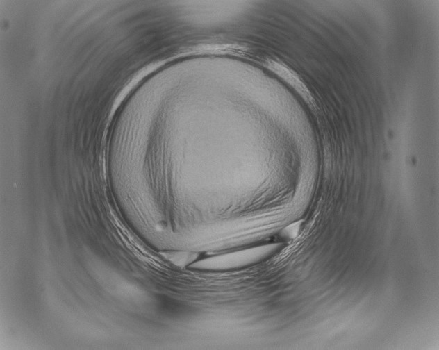 X0000071861436200607290146