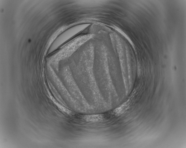 X0000071861437200607290146