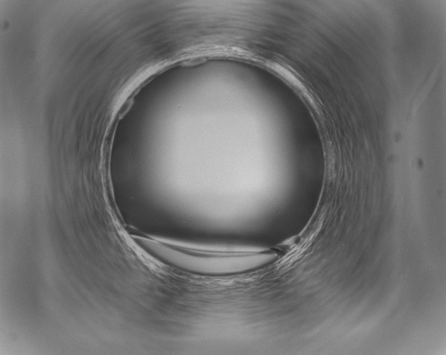 X0000071861438200607290146