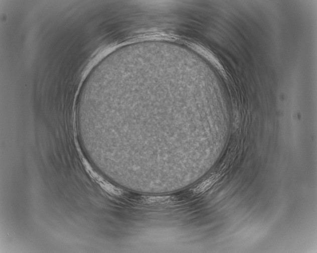 X0000071861439200607290146