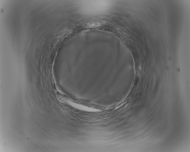 X0000071861441200607290145