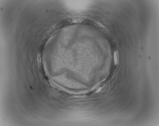 X0000071861443200607290145