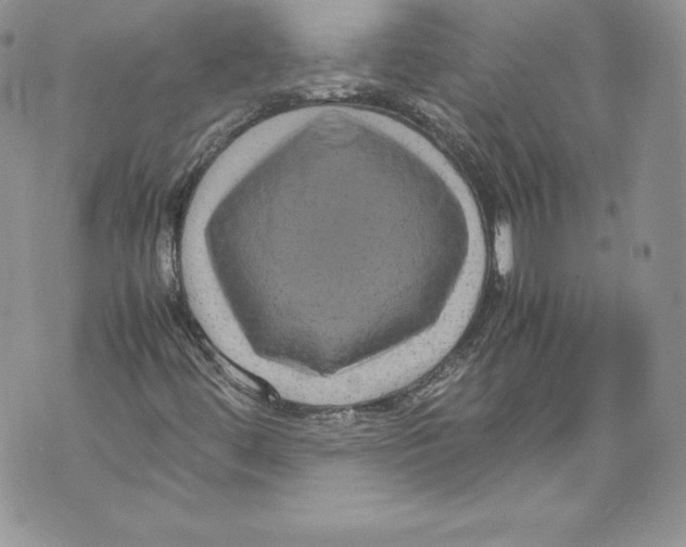 X0000071861444200607290145