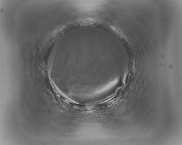 X0000071861445200607290145