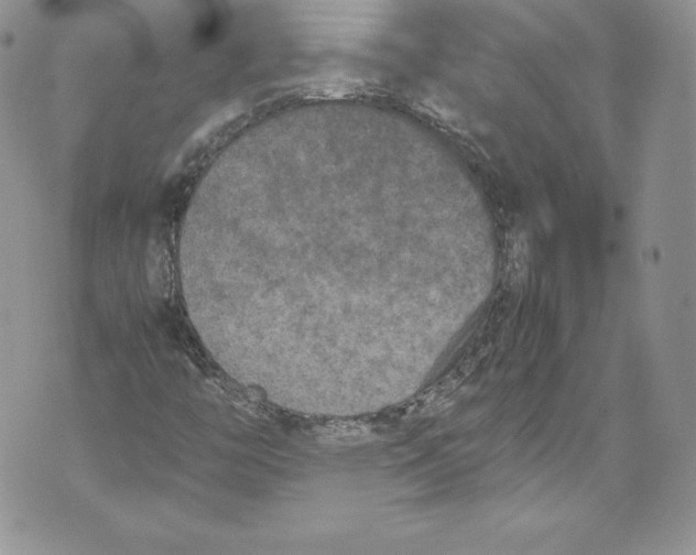 X0000071861446200607290145