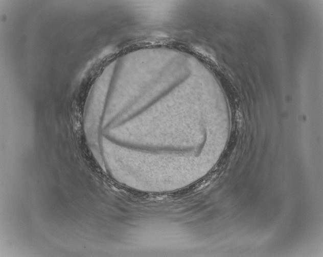 X0000071861447200607290145