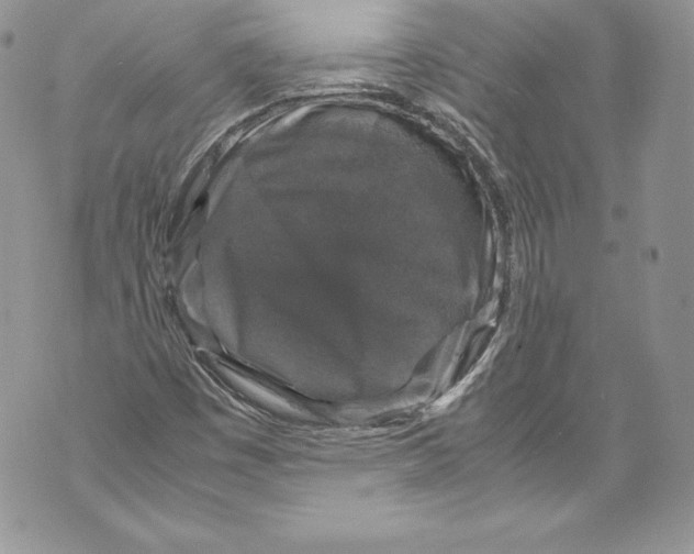 X0000071861449200607290145