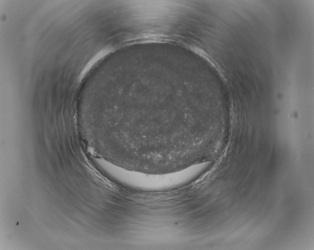 X0000071861450200607290145