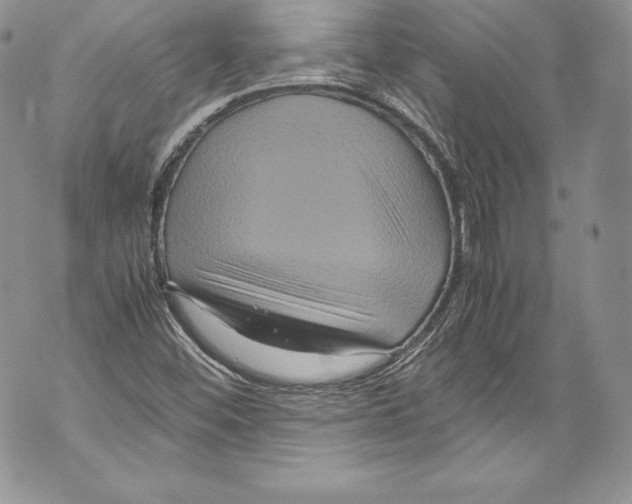 X0000071861452200607290145