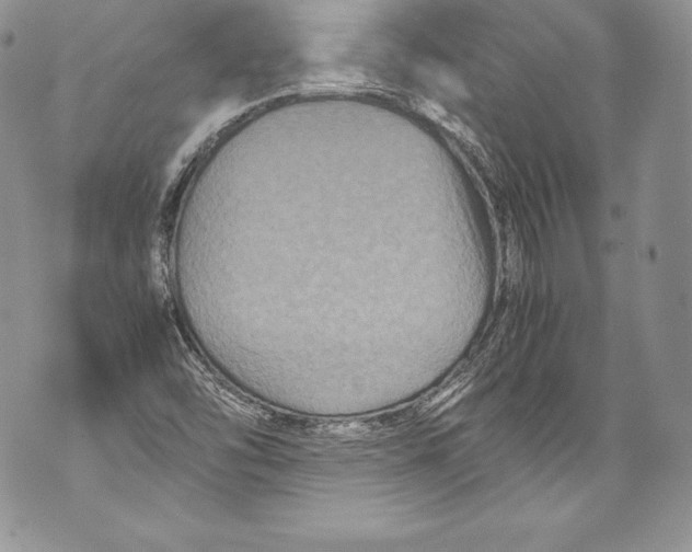 X0000071861454200607290145