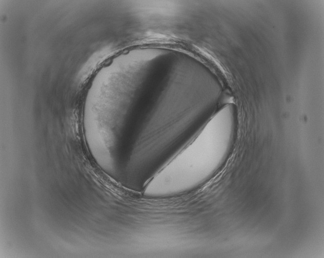 X0000071861455200607290145